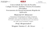 Universidade do Vale do Paraíba Colégio Técnico Antônio Teixeira Fernandes Disciplina Ferramenta de Desenvolvimento Rápido de Aplicação Material IV-Bimestre.