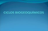 CICLOS BIOGEOQUÍMICOS BIO = seres vivos GEO = atmosfera, hidrosfera e litosfera QUÍMICOS = componentes químicos Estudo da troca de materiais entre componentes.