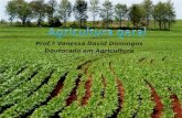 Prof.ª Vanessa David Domingos Doutorado em Agricultura.