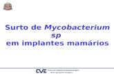 Surto de Mycobacterium sp em implantes mamários. Problema 06/04/04: notificação de 6 casos de M. fortuitum pelo IAL Central ao CVE Notificação de 1 caso.