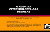 A ÁGUA NA EPIDEMIOLOGIA DAS DOENÇAS Divisão de Doenças de Transmissão Hídrica e Alimentar - CVE/SES-SP Palestra proferida por: Maria Bernadete de Paula.