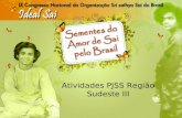 Atividades PJSS Região Sudeste III. Belo Horizonte PJ Serrano Participam das reuniões devocionais, ajuda nos sevas junto com os adultos, principalmente.