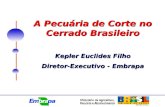 A Pecuária de Corte no Cerrado Brasileiro Kepler Euclides Filho Diretor-Executivo - Embrapa.