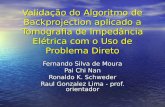 Validação do Algoritmo de Backprojection aplicado a Tomografia de Impedância Elétrica com o Uso de Problema Direto Fernando Silva de Moura Pai Chi Nan.