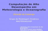 Computação de Alto Desempenho em Meteorologia e Oceanografia Ricardo de Camargo Grupo de Modelagem Oceânica MASTER/IAG/USP I Workshop sobre Computação.