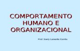 COMPORTAMENTO HUMANO E ORGANIZACIONAL Prof. Suely Lamarão Corrêa.