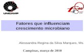 Fatores que influenciam crescimento microbiano Alessandra Regina da Silva Marques, Ms. Campinas, março de 2010.