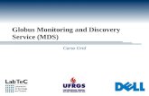 Curso Grid Globus Monitoring and Discovery Service (MDS)