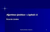 Algoritmos Genéticos - Capítulo 11 1 Algoritmos Genéticos – Capítulo 11 Ricardo Linden.