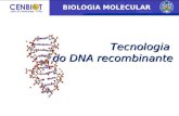 Tecnologia do DNA recombinante BIOLOGIA MOLECULAR.