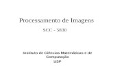 Processamento de Imagens SCC - 5830 Instituto de Ciências Matemáticas e de Computação USP.