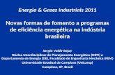 Energia & Gases Industriais 2011 Novas formas de fomento a programas de eficiência energética na indústria brasileira Sergio Valdir Bajay Núcleo Interdisciplinar.
