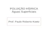 POLUIÇÃO HÍDRICA Águas Superficiais Prof. Paulo Roberto Koetz.