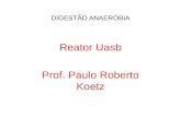 DIGESTÃO ANAERÓBIA Reator Uasb Prof. Paulo Roberto Koetz.