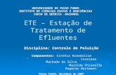 ETE – Estação de Tratamento de Efluentes Disciplina: Controle de Poluição Componentes: Cínthia Brandalise Cassiana Machado da Silva Marílda Chiarello Rogério.
