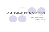 LAMINAÇÃO DE MADEIRAS Prof. Setsuo Iwakiri UFPR - DETF.