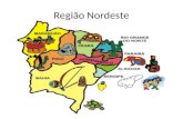 Região Nordeste. A região Nordeste abrange nove estados brasileiros. Possui grande diversidade natural. É dividida em quatro regiões menores ou sub-regiões: