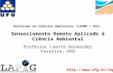 Doutorado em Ciências Ambientais (CIAMB / UFG) Sensoriamento Remoto Aplicado à Ciência Ambiental Professor Laerte Guimarães Ferreira, PhD .