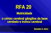 Reinaldo O. Sieiro RFA 20 Motricidade o córtex cerebral gânglios da base cerebelo e tronco cerebral RFA 20 Motricidade o córtex cerebral gânglios da base.