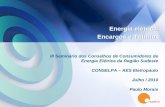 Replace Consultoria 1 III Seminário dos Conselhos de Consumidores de Energia Elétrica da Região Sudeste CONSELPA – AES Eletropaulo Julho / 2010 Paulo Morais.