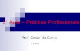 1° Aula – Práticas Profissionais Prof. Cesar da Costa 1.a Aula.
