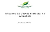 Desafios da Gestão Florestal na Amazônia Tasso Rezende de Azevedo.