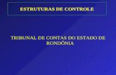 1 ESTRUTURAS DE CONTROLE TRIBUNAL DE CONTAS DO ESTADO DE RONDÔNIA.