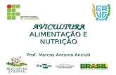 AVICULTURA ALIMENTAÇÃO E NUTRIÇÃO Prof. Marcos Antonio Anciuti.