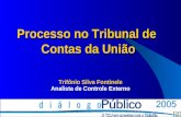 Processo no Tribunal de Contas da União Trifônio Silva Fontinele Analista de Controle Externo.