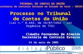 Processo no Tribunal de Contas da União (Lei n.º 8.443, de 16/07/1992 - Lei Orgânica do TCU) Cláudio Fernandes de Almeida Secretário de Controle Externo.