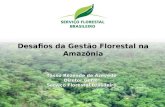 Desafios da Gestão Florestal na Amazônia Tasso Rezende de Azevedo Diretor Geral Serviço Florestal Brasileiro.