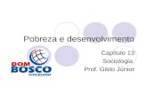 Pobreza e desenvolvimento Capítulo 13 Sociologia Prof. Gildo Júnior.