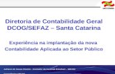 Adriano de Souza Pereira - Contador da Fazenda Estadual – SEF/SC Conselheiro CRCSC Diretoria de Contabilidade Geral DCOG/SEFAZ – Santa Catarina Experiência.