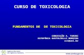 CONCEIÇÃO A. TURINI ESTEFÂNIA GASTALDELLO MOREIRA cci@uel.br FUNDAMENTOS DE DE TOXICOLOGIA CURSO DE TOXICOLOGIA.