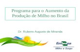 Programa para o Aumento da Produção de Milho no Brasil Dr. Rubens Augusto de Miranda.