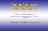 Imunologia de Transplantes Bruno Salomé de Morais Mestrando em Ciências Aplicadas à Cirurgia e Oftalmologia Orientador: Prof. Evaldo Nascimento.