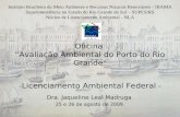 Oficina Avalia ç ão Ambiental do Porto do Rio Grande - Licenciamento Ambiental Federal - Dra. Jaqueline Leal Madruga 25 e 26 de agosto de 2009 Instituto.