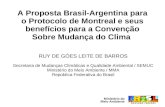 A Proposta Brasil-Argentina para o Protocolo de Montreal e seus benefícios para a Convenção Sobre Mudança do Clima RUY DE GÓES LEITE DE BARROS Secretaria.
