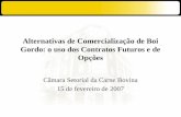 Alternativas de Comercialização de Boi Gordo: o uso dos Contratos Futuros e de Opções Câmara Setorial da Carne Bovina 15 de fevereiro de 2007.