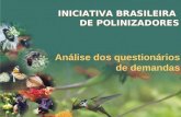 Análise dos questionários de demandas INICIATIVA BRASILEIRA DE POLINIZADORES.