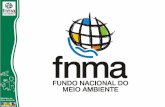 ORIENTAÇÕES PARA EXECUÇÃO DE PROJETOS MÓDULO I - FORMALIZANDO A PARCERIA A formalização da parceria entre o FNMA e a Instituição Proponente se dá por.