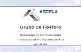 Grupo de Fósforo Subgrupo de Normatização Internacional e o Estado da Arte Abril/2004.