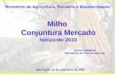 Milho Conjuntura Mercado horizonte 2010 SILVIO FARNESE Secretaria de Política Agrícola Ministério da Agricultura, Pecuária e Abastecimento São Paulo, 15.