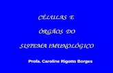 CÉLULAS E ÓRGÃOS DO SISTEMA IMUNOLÓGICO Profa. Caroline Rigotto Borges.
