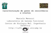 Caracterização de genes de resistência a insetos Marcelo Menossi Laboratório de Genoma Funcional Centro de Biologia Mol. Engenharia Genética .