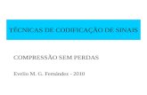 TÉCNICAS DE CODIFICAÇÃO DE SINAIS COMPRESSÃO SEM PERDAS Evelio M. G. Fernández - 2010.