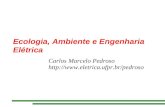 Ecologia, Ambiente e Engenharia Elétrica Carlos Marcelo Pedroso .