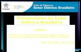 Perspectivas do Setor Elétrico Brasileiro Objetivo: Analisar os principais elementos que podem ajudar na construção de perspectivas do setor elétrico brasileiro.