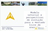 Paulo Pedrosa Rio, 23/03/2009. Modelo setorial e perspectivas de evolução para o mercado livre de energia.