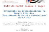 Café da Manhã Coomex e Cogen Integração da Bioeletricidade na Matriz Elétrica Oportunidade de Oferta e Cenários para 2010 e 2011 Dilma Seli Pena Secretária.